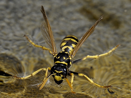 image-10670702-09LWespeNM3381-45c48.jpg?1598040370134