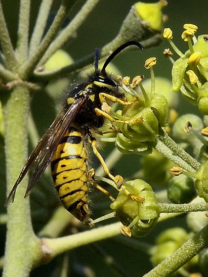 image-10670819-02DeutscheYO0290-c9f0f.jpg?1598044770718