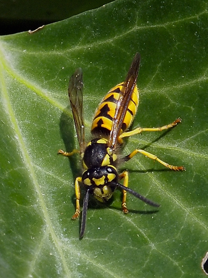 image-10670828-05DeutscheYO0295-9bf31.jpg?1598045463310