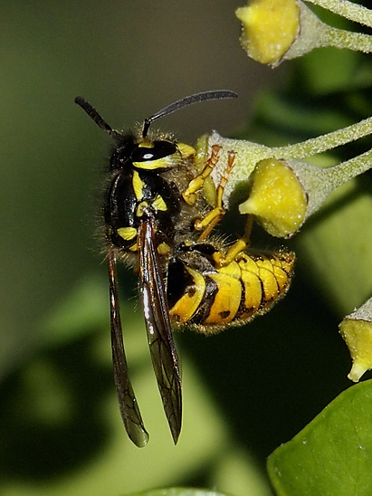 image-10670831-06DeutscheFO1419-c20ad.jpg?1598045522662