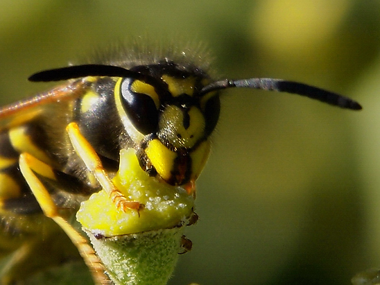 image-10670840-09DeutscheW1701-e4da3.jpg?1598045709732