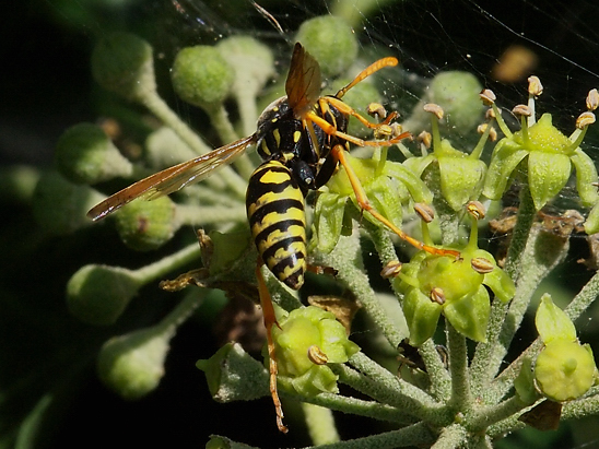 image-10683770-03WespeQO2693-aab32.jpg?1598726891596