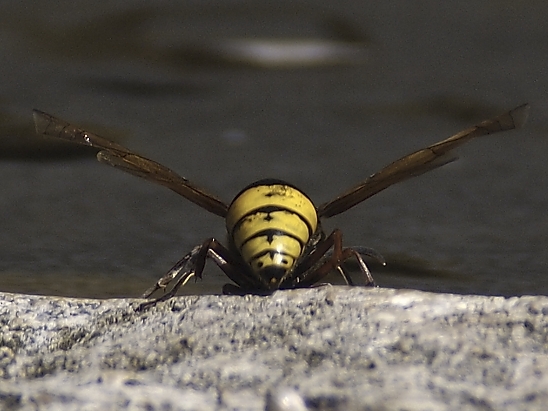 image-10683872-04UnbekanntQO4825-aab32.jpg?1598727906566