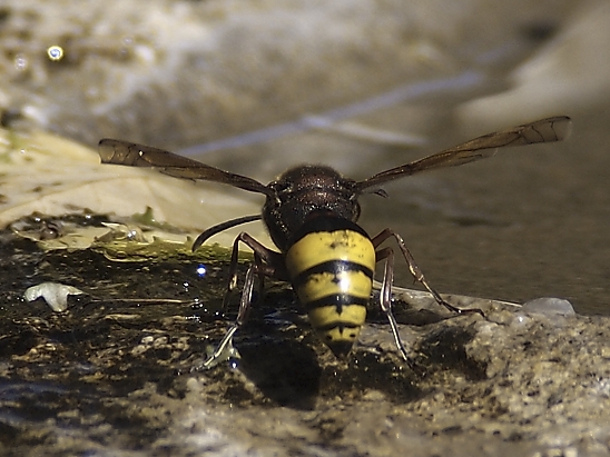 image-10683893-03UnbekanntQO4822-16790.jpg?1598728018945