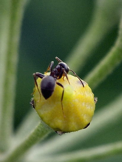 image-10686113-08AmeiseGO1621-aab32.jpg?1598822213138