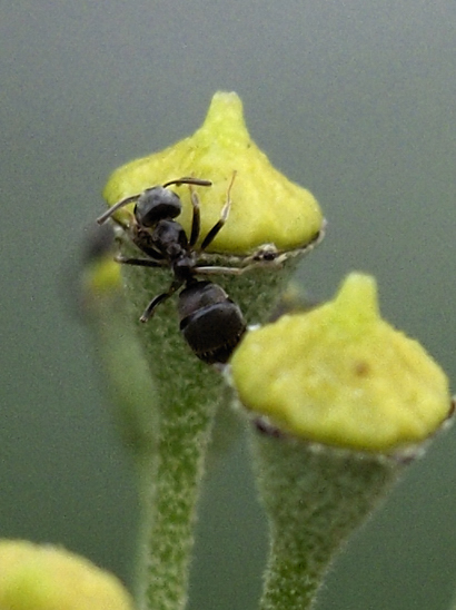 image-10686116-09AmeiseEOO1146b-45c48.jpg?1598822286195