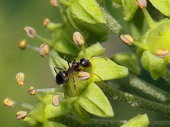 image-10686128-11AmeiseOO2426a-e4da3.jpg?1598822412819