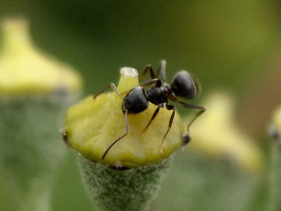 image-10686131-12AmeiseGO1654-9bf31.jpg?1598822466532