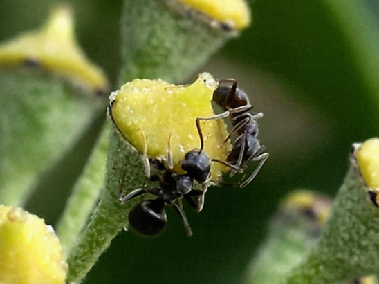 image-10686134-13AmeisenIO1807-e4da3.jpg?1598822534007