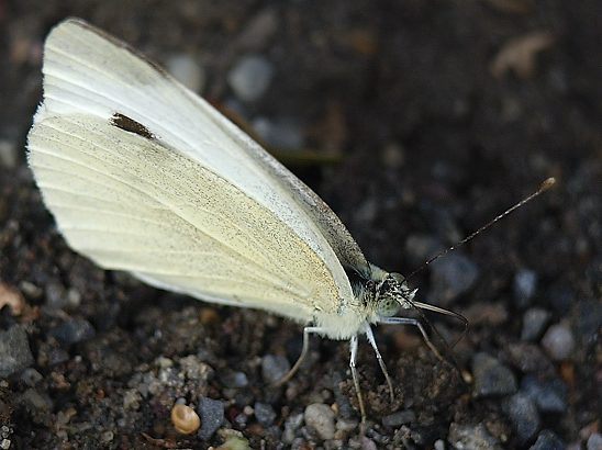 image-10701899-04Kohlw.GG4478-aab32.jpg?1599600010324