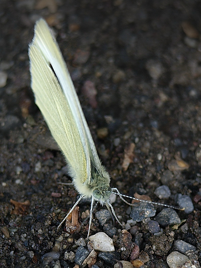 image-10701902-05Kohlw.GG4465-e4da3.jpg?1599600069156