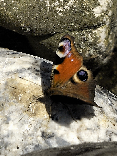 image-10718675-07Tagpf-CD3A8846-d3d94.jpg?1600291098186