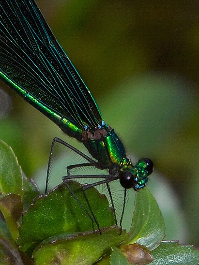 image-10735091-03PrachtLibLC0586-8f14e.jpg?1601063822801