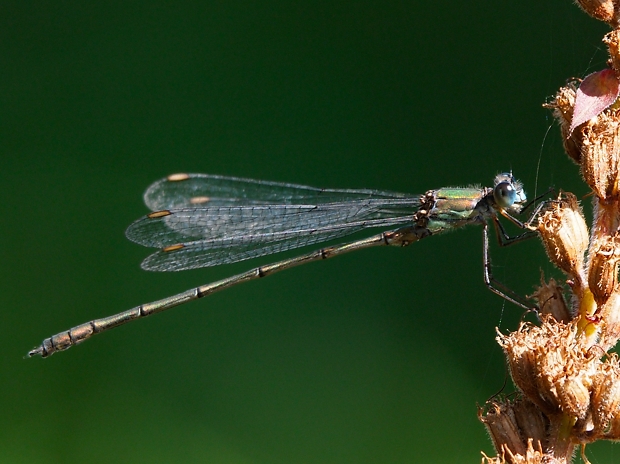 image-10735109-01Mondazur0955-aab32.jpg?1601064597888