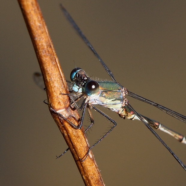 image-10735118-04MondazurJBO1017-16790.jpg?1601064744223