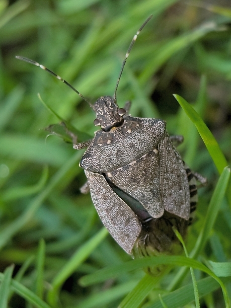 image-10750925-06GraueGWVL0258-c51ce.jpg?1601761030592