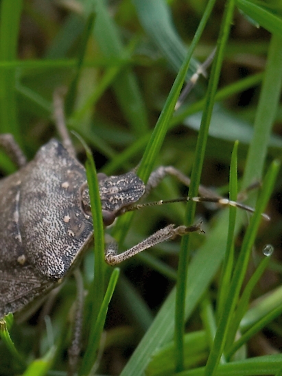 image-10750931-07GraueGWVL0228-aab32.jpg?1601761217166