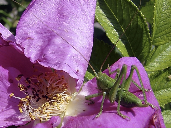 image-10755971-01HSchrecke3380a-aab32.jpg?1601929029051