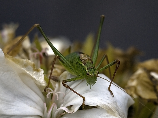 image-10756025-02HeugUL0184-6512b.jpg?1601929834131