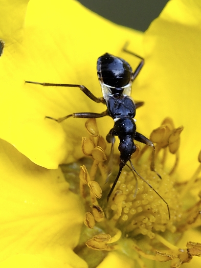 image-10756079-Unbekannt1GE0779-45c48.jpg?1601930852249