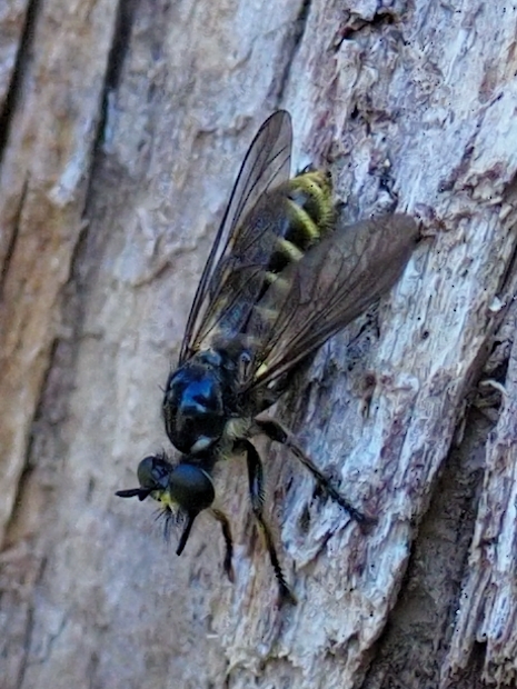 image-10756082-Unbekannt0962-6512b.jpg?1601930908752