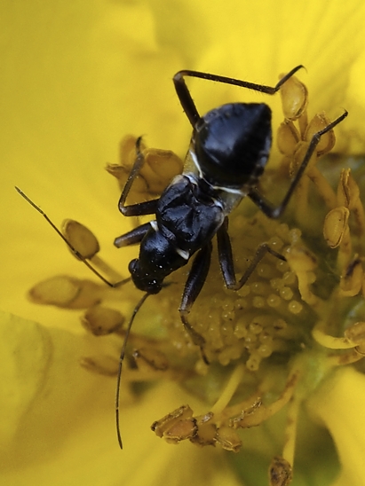 image-10756085-Unbekannt1GE0783-16790.jpg?1601930961051