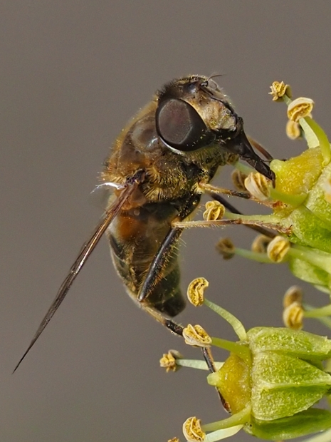 image-10787165-04.2Gem.GartenK2867-aab32.jpg?1603316551204