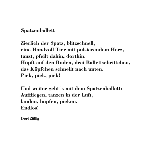 image-9860033-Spatzenballet-c51ce.jpg